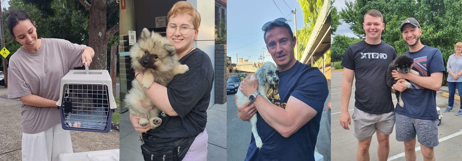 K9 Pet Therapy and Transport